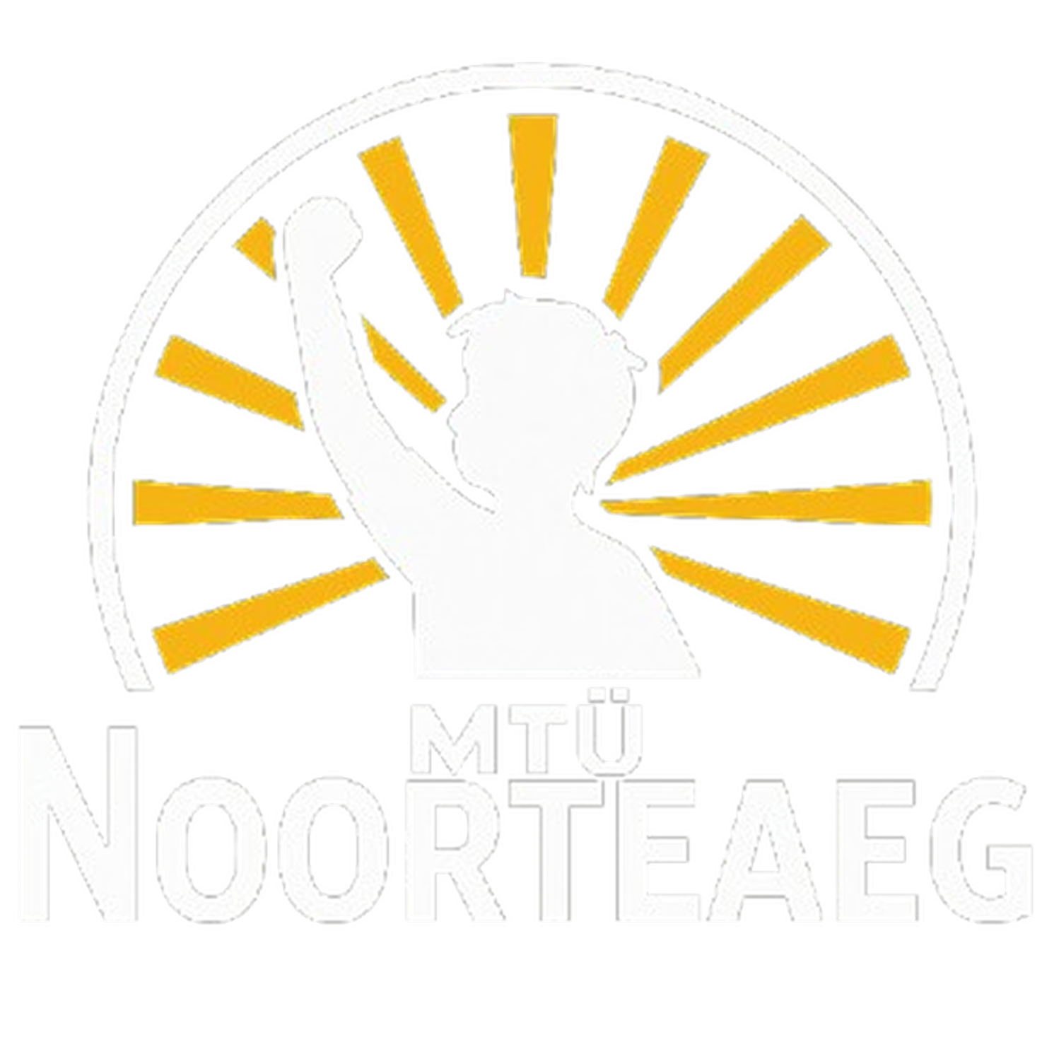 Логотип Noorteaeg